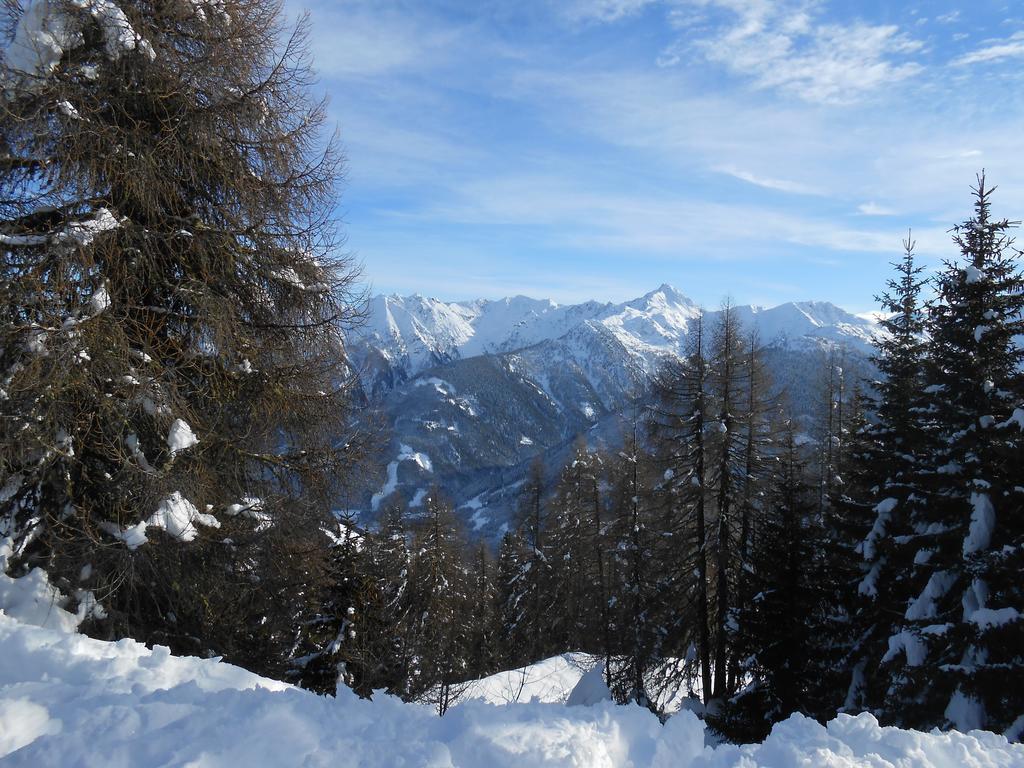 Appartement Haus Gatterer Obertilliach Exteriér fotografie